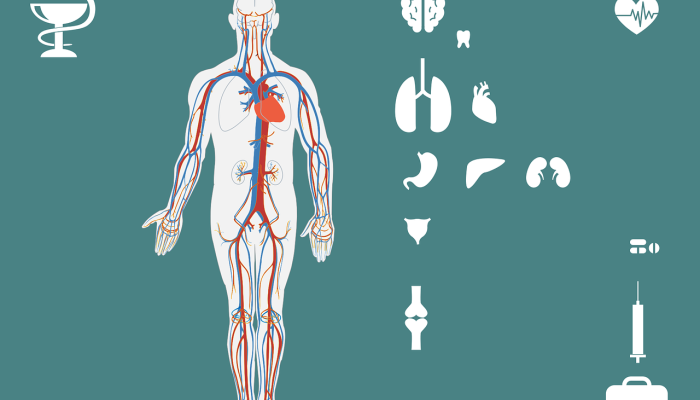 疫情榆林地区最新消息：齐心协力，共克时艰