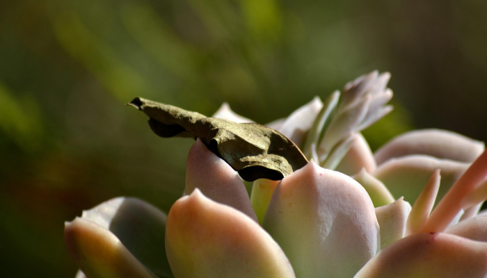 疫情最新早安问候