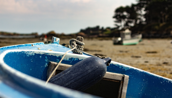 牟平最新疫情新闻:全面了解疫情动态与防疫措施 牟平最新疫情新闻:全面了解疫情动态与防疫措施