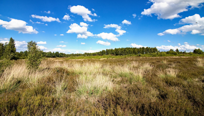 曲阳疫情通报最新：防疫措施与社区响应