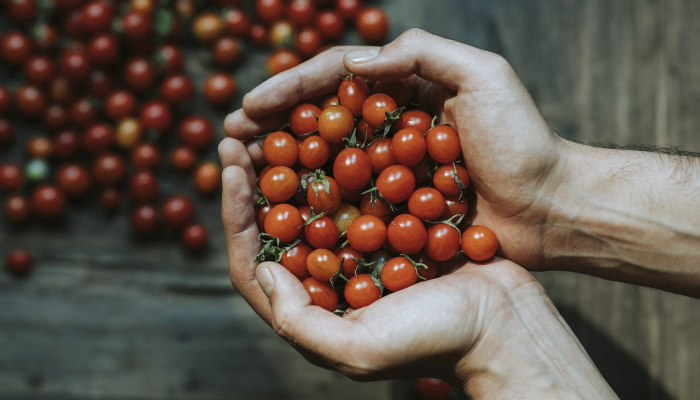 六安近日疫情最新情况:科学防控,共建安全社区 六安近日疫情最新情况:科学防控,共建安全社区