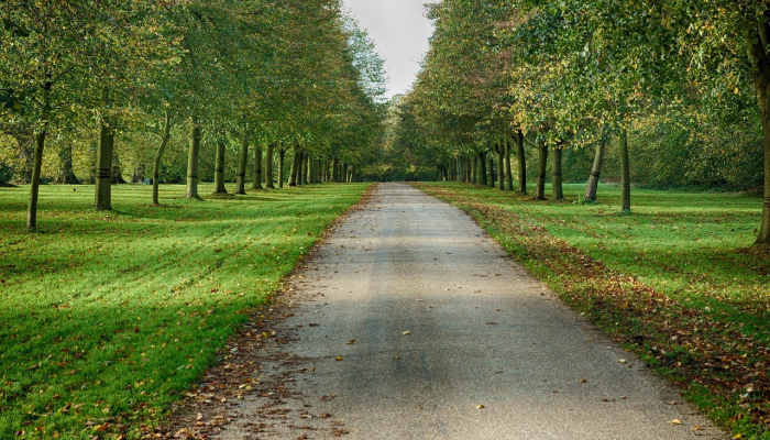 环山公园最新疫情:安全、健康,尽享自然乐趣 环山公园最新疫情:安全、健康,尽享自然乐趣