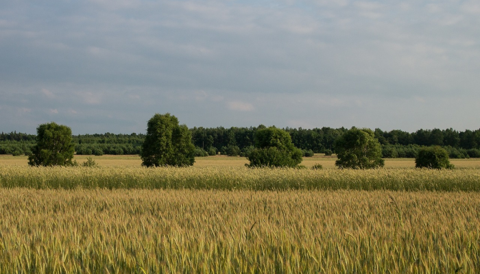 江油疫情最新动态与绵阳疫情防控策略