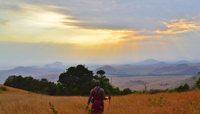 汉中西路疫情最新通报:防控措施与您的健康保障 汉中西路疫情最新通报:防控措施与您的健康保障