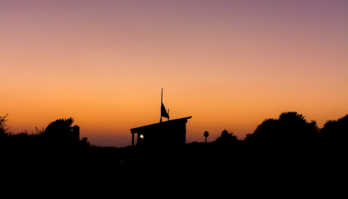 最新疫情片段：全球健康战线的最新动态