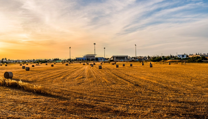东升镇疫情最新情况：责任与希望共筑安全未来