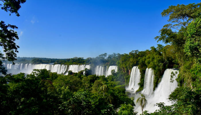 承德疫情最新了:最新动态与防护措施全解析 承德疫情最新了:最新动态与防护措施全解析