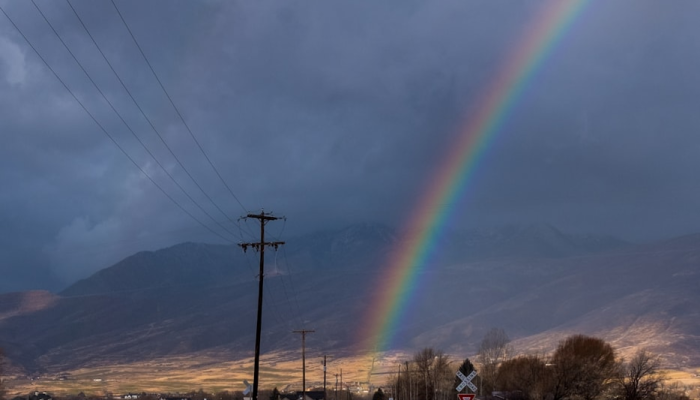 龙乡中区疫情最新情况：健康守护，共同前行